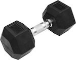 Pegasus Β-1013 Rubber Hexagon Dumbbell 1 x 7kg