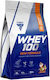 Trec Whey 100 Протеин Суроватъчен с Вкус Hazelnut 700гр