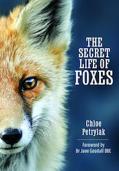 Secret Life of Foxes