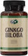 Pure Nutrition Ginkgo Biloba 120mg 60 capace
