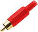Stecker RCA männlich 5Stück Gold (01.099.0005)