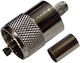 Stecker UHF männlich 10Stück (01.101.0047)