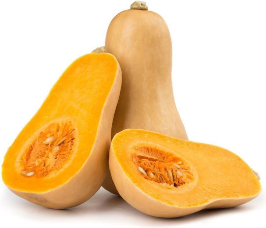 Pumpkin 1500gr