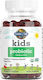 Garden Of Life Kids Probiotic Пробиотици за Деца 30 желирани бонбони Череша