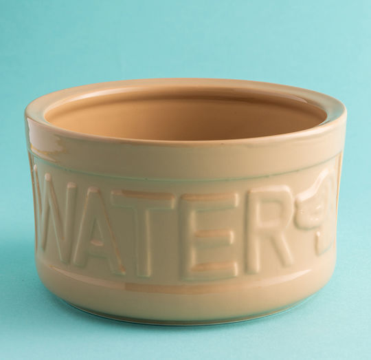 Mason Cash Stoneware Schalen Wasser für Hund in Orange Farbe