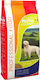 Pluto Press 15kg Dry Food for Dogs