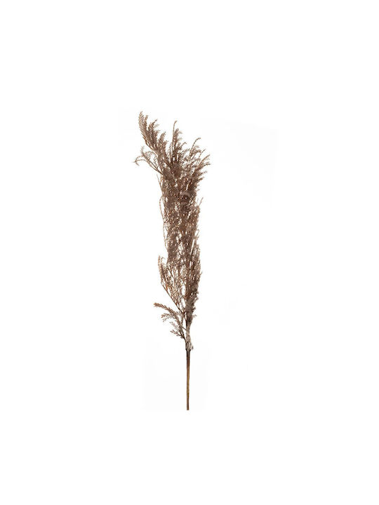 Iliadis Artificial Decorative Branch Pampas Grass Brown 1pcs