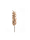 Iliadis Artificial Decorative Branch Pampas Grass Ecru 100cm 1pcs