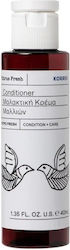 Korres Conditioner 40ml