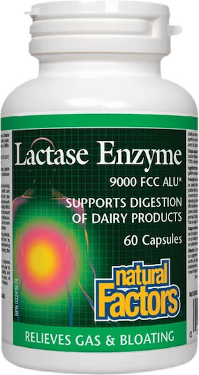 Natural Factors Lactase Enzyme 250mg 60 κάψουλες