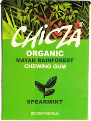 Chicza Chewing gum 12pcs 30gr