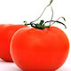 Gemma Seeds Tomatoς Saint Peter 1gr