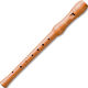 Hohner Wooden Recorder 9531 C German Brown