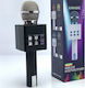Wireless Karaoke Microphone MC871 81005KLD80SL ...