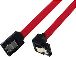 - Cable 100cm (04.001.0324)