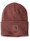 Beanie Unisex Beanie Knitted in Brown color