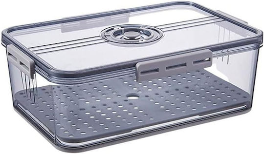 ForHome Recipient Închis De Uz General 32.5x22.5x11cm ForHome Recipient Închis De Uz General 32.5x22.5x11cm