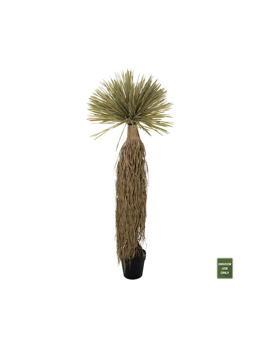 Künstliche Pflanze im Töpfchen Grün 18cm HomeMarkt
