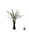 Plantă Artificială în Ghiveci Mic Fern Green 14.5cm HomeMarkt