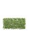 Supergreens Изкуствената листва е в Мрежа 2м x 90см