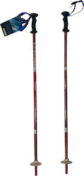 Ski Poles