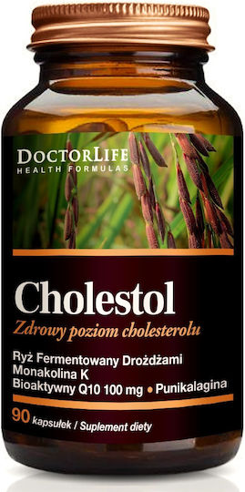 Doctor Life 250mg Συμπλήρωμα για την Εγκυμοσύνη 90 κάψουλες