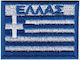 All About Army Security Forces Badge 000668