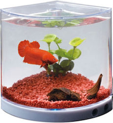 Dophin Fish Aquarium with