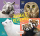 Animals Reviewed
