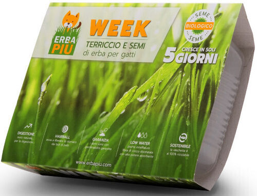 Pet Camelot Erbapiu Kit Sporas Grass with Ton with Catnip for Cat