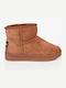 Suede Women's Ankle Boots with Fur Brown