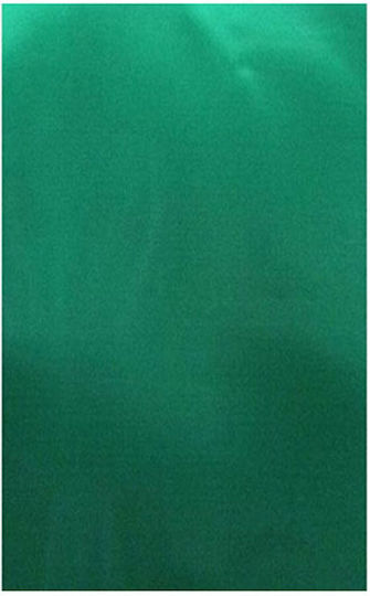 Exas Paper Carton Metalic Față-verso 50x70cm. Verde