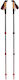 Black Diamond Pair of Telescopic Trekking Poles...