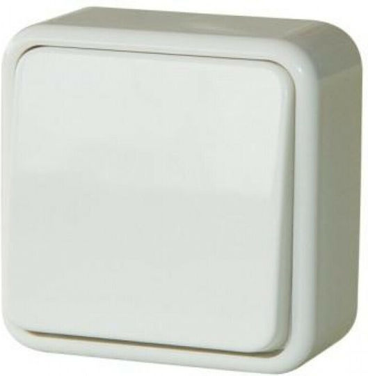 Bassiakos Wall-mounted Basic Switch One-Way Aller Retour White