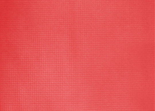 PaperQ Servet individual Roșu 30x40cm 2000buc