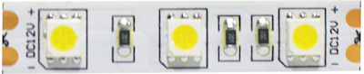 Aca Bandă LED Alimentare 12V cu Lumină Alb Cald