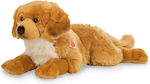 Hermann Teddy Plush Dog