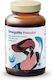 NPHealthLabs Omegame Prenatal Fish Oil 60 caps