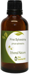 Nature & Body Essential Oil Pine 50ml