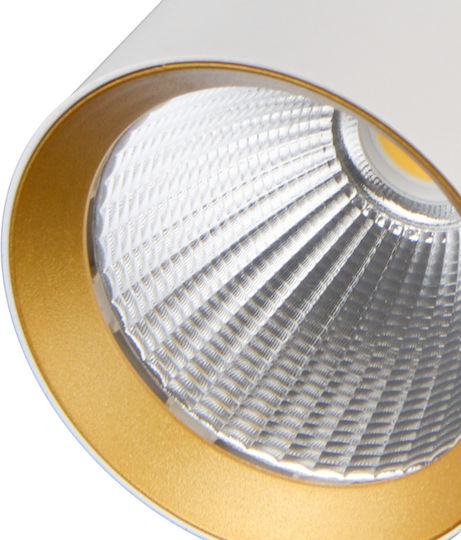 Aca Mounting Rail for Lighting Fixtures Gold SOLINE10GRING