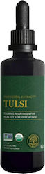 Global Healing Tusli 60 мл Global Healing Tusli 60 мл
