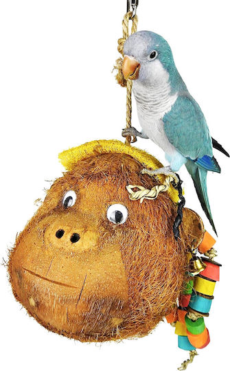 Java Wood Parrot Cage Game 40x20cm