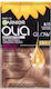 Garnier Olia Hair Dye no Ammonia 60gr