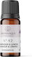 Aromatique Ulei aromatic Lavender 10ml D5LC14MBM 1buc