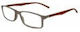 Frog Optical Γυαλιά Πρεσβυωπίας +3.00 σε Μπεζ χρώμα