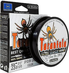 Balsax Tarantula Fishing Line Gray