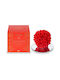 L'Amande Scented Candle Jar Red 1pcs