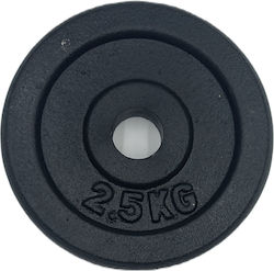 Profit Δίσκος Μεταλλικός 1 x 2.5kg Φ28mm