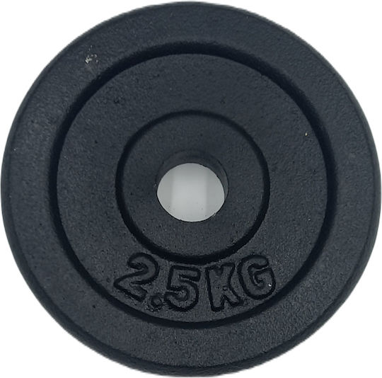 Profit Δίσκος Μεταλλικός 1 x 2.5kg Φ28mm