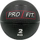 Profit Ball Medicine 2kg